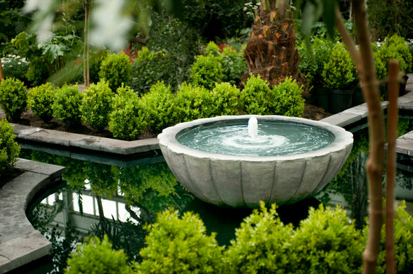 Incorporating Water Features in Your Garden