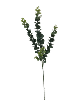 5 Pack - Long Eucalyptus Stem 77 cm