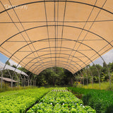 1.83m wide sandstone 90 percent shade cloth installed cloth installed over a wide garden tunnel frame protecting vegetable rows