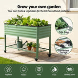 Elevated Raised Garden Bed Kit Mobile w/ Locking Wheels & Storage Shelf 100KG Max Load 115x60x81cm | Galvanized Steel, Portable Green Organizer for Seniors, Patio, Balcony, Vegetables