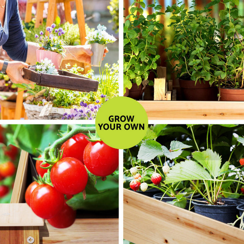 Green Fingers Raised Garden Bed 2x Elevated 120x60x80cm Wooden Planter Box Container