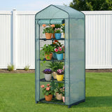 Mini Greenhouse with 4 Tiers | 1.6x0.7x0.5M | Domestic Greenhouse for sale