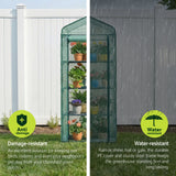 Mini Greenhouse with 4 Tiers | 1.6x0.7x0.5M | Domestic Greenhouse for sale