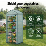 Mini Greenhouse with 4 Tiers | 1.6x0.7x0.5M | Domestic Greenhouse for sale