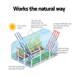 Mini Greenhouse with 4 Tiers | 1.6x0.7x0.5M | Domestic Greenhouse for sale