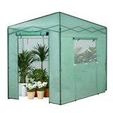 Greenhouse | 180x240x240cm | Steel Frame with PE Cover