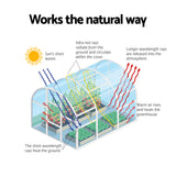 Greenhouse | 180x240x240cm | Steel Frame with PE Cover