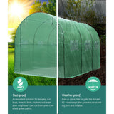 Green greenhouse with pest-proof and weather-proof features