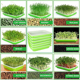 Set of green seedling trays with various sprout types and labels.