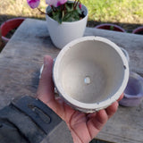 Mixed, hand-made succulent planters x 5