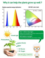 Full Spectrum USB LED Grow Light for Small Plants Greenhouse, 3M, Compatible with USB