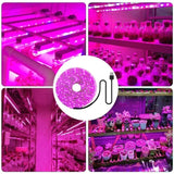 Full Spectrum USB LED Grow Light for Small Plants Greenhouse, 5M, Compatible with USB