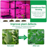 USB LED Grow Light Full Spectrum for Small Plants and Greenhouse, 2M, Compatible with USB