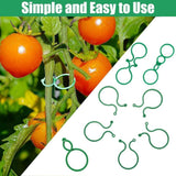 200 pcs Garden Plant Clips, Plastic Ring Design for Vines Tomatoes and Flowers, Decorative Garden Accessories
