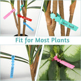 120 Plant Labels - Plastic Tree Labels - 21 x 2 cm - Plant Labels - Garden - Hanging Plant Labels - Five Colors - Suitable for Flower Gardens - Vegetable Gardens - Herb Gardens