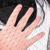 Anti-Bird Netting - bird protection netting - aviary chicken coop netting - Resistant Polyethylene - Garden Protection - for Fruit Trees, Ponds and Crops - Black - 4m x 6m