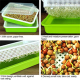 12.8x9.5x1.6 In Green Seed Sprouting Tray with Drain Holes,Microgreens Growing Trays,Growing Trays,seed Germination Propagation Trays for Garden,Home,Office