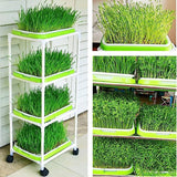 BPA Free Hydroponics Soilless Seeds Sprouter Microgreen Seed Sprouter Trays Seed Germination Double Tier Grow Trays with Lid 1PCS-Seed Sprouter Tray