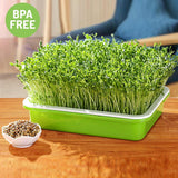BPA Free Hydroponics Soilless Seeds Sprouter Microgreen Seed Sprouter Trays Seed Germination Double Tier Grow Trays with Lid 1PCS-Seed Sprouter Tray+Lid