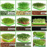 BPA Free Hydroponics Soilless Seeds Sprouter Microgreen Seed Sprouter Trays Seed Germination Double Tier Grow Trays with Lid 5PCS-Seed Sprouter Tray+Lid
