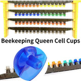 100pcs Queen Bee Cell Cups, Beekeeping Apiculture Queen bee Rearing Supplies Way Bees Escape Equipment Beekeeping (Blue)
