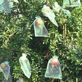 50 Pcs Fruit Protection Bags,8''×12''Fruit Netting Bags for Fruit Trees Fruit Cover Mesh Bag with Drawstring Netting Barrier Bags for Plant Fruit Flower