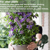 40 Reusable Plant Support Clips - Garden Tool for Supporting and Guiding Plants and Flowers