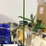 40 Reusable Plant Support Clips - Garden Tool for Supporting and Guiding Plants and Flowers