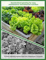 Seed Spacer Tool for Square Foot Gardens - Maximize Your Garden Space and minimize Weeds with This Premium Garden Tool