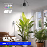 TR40 Hanging Grow Lights for Indoor Plants, 40W 5000K Full Spectrum, Adjustable Beam Angle (15°-60°), High PPFD, Spotlight Grow light with Timer for Indoor Growing, Large Tall Plant, Flowers ﻿