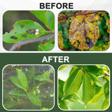1Pack 10 * 10FT Large Fruit Tree Netting Bags with Zipper and Drawstring, Bird Netting for Blueberry Bushes and Apple Tree, Garden Netting Cover Safeguard Plant from Birds, Pest and Deer