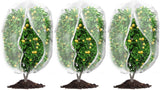 3Pcs Plant Covers from Insects, Bird Netting Barrier for Blueberry Bushes with Drawstring Zipper Mesh Garden Fruit Tree Bags Plants Net Cage Protect Tomato Vegetable Citrus, 3.3×5Ft - 3.3×5Ft/ 3pcs/