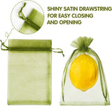 YQL 100Pcs 4"x6" Fruit Protection Bags,Fruit Netting Bags,Garden Netting Bags with Drawstring for Protecting Fruits and Vegetables