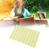 20Pcs Fluvalinate Strips Set Beekeeping Medicine Tools for Beehive Varroa Mite Removal