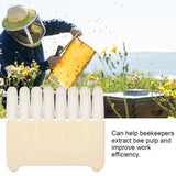 8 Head Plastic Bee Honey Scraping Tool Wax Extractor Beekeeping Equipments