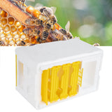 Queen Bee Mating Box Foam Breeding Rearing Copulation Accessory Beekeeping Equipment