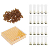 Queen Bee Rearing Box Cage Plastic Breeding Cell Cup Kit Beekeeping Equipments Supplies