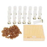 Queen Bee Rearing Box Cage Plastic Breeding Cell Cup Kit Beekeeping Equipments Supplies