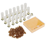 Queen Bee Rearing Box Cage Plastic Breeding Cell Cup Kit Beekeeping Equipments Supplies