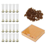 Queen Bee Rearing Box Cage Plastic Breeding Cell Cup Kit Beekeeping Equipments Supplies