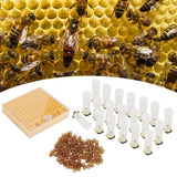 Queen Bee Rearing Box Cage Plastic Breeding Cell Cup Kit Beekeeping Equipments Supplies