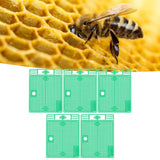 5Pcs Reusable Queen Bee Isolator Portable Queen Introducing Cage Beekeeping ToolsGreen