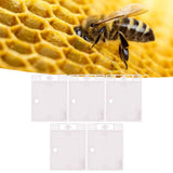 5Pcs Reusable Queen Bee Isolator Portable Queen Introducing Cage Beekeeping ToolsWhite