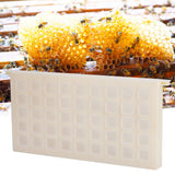 Queen Bee Rearing System Complete Multifunctional Plastic AntiEscape Durable Bee Catcher Box