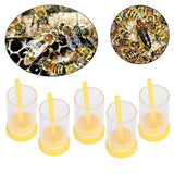 5Pcs Queen Bee Marking Bottle Catcher Cage Tube Lightweight Plastic Beekeeping Accessory