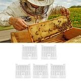 5Pcs Queen Bee Catcher Cage Plastic Queen Rearing Transport Cage Tool Beekeeping Accessory