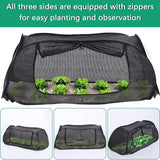 Garden Cover for Raised Beds  Pop-Up Mesh Plant Garden Bed Cover for Vegetables, Seedlings, Fruits, Frost Protection, Outdoor Gardening Bird and Animal Barrier Greenhouse Cover (Black)