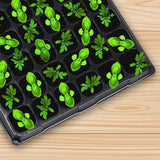 15 Pcs 72 Cell Seed Starter Tray - Reusable Seed Growing Starting Tray Fits 1020 Trays, Thick Gardening Germination Trays with Drain Holes for Plant Seeds Propagation, 1080 Cells Total