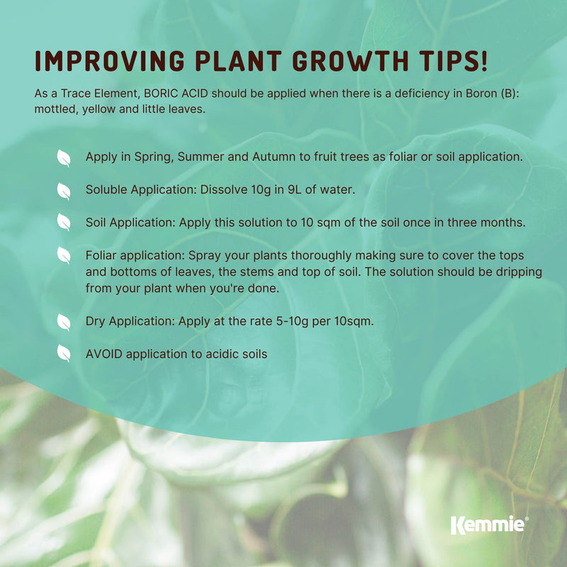 1Kg Boric Acid Powder High Purity Fully Soluble Granule Pest Ant Cockroaches