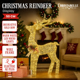 Christabelle Light Up Christmas Reindeer Display Indoor & Outdoor Decoration Warm White LED Lights Gold Bow Wire Frame